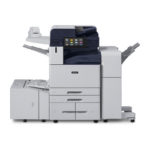 C8170_OTHER3_250x250 C8170_OTHER3_250x250